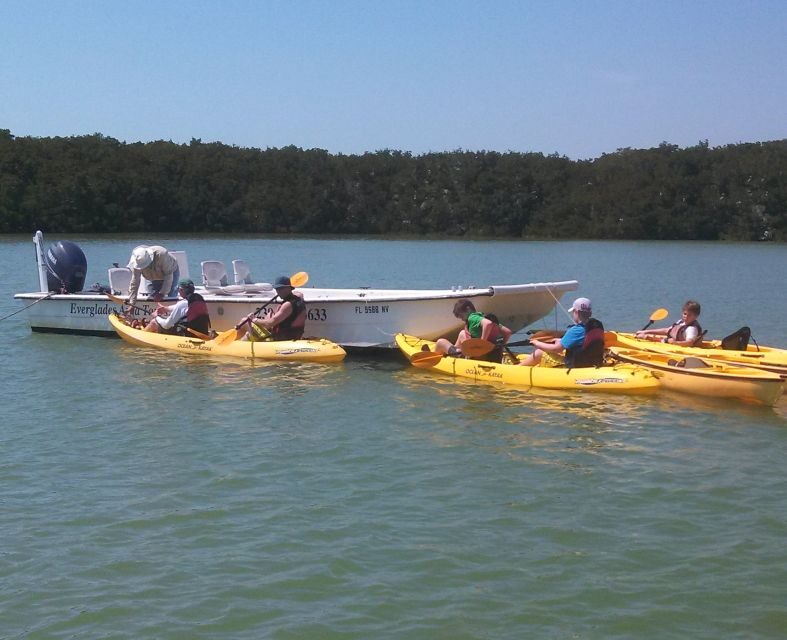 Everglades: Boat Assisted Kayak Eco Tour - Final Thoughts