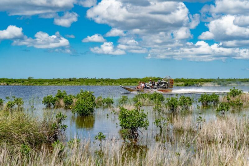 Everglades City: Guided Kayaking Tour and Airboat Ride - Who Is This Tour For?