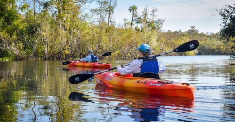 Everglades City: Guided Kayaking Tour of the Wetlands - What to Expect on Your Kayaking Adventure