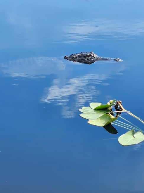 Everglades Eco Airboat Tour small group & top transportation - What Travelers Are Saying