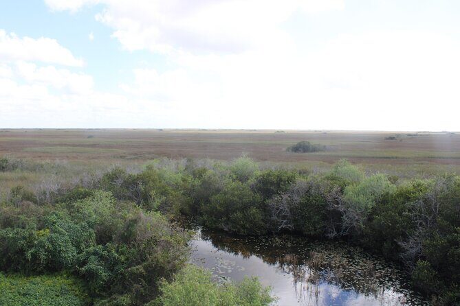 Everglades Eco Airboat Tour with Private Luxury Transportation - Frequently Asked Questions