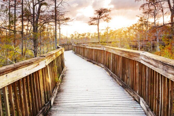 Everglades Immersion Tour: The Ultimate Everglades Adventure - Key Points