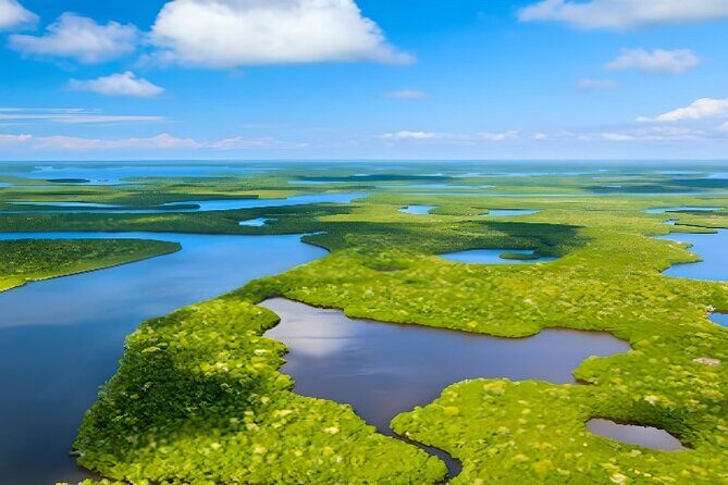 Everglades Immersion Tour: The Ultimate Everglades Adventure - Exploring the Everglades Immersion Tour in Depth