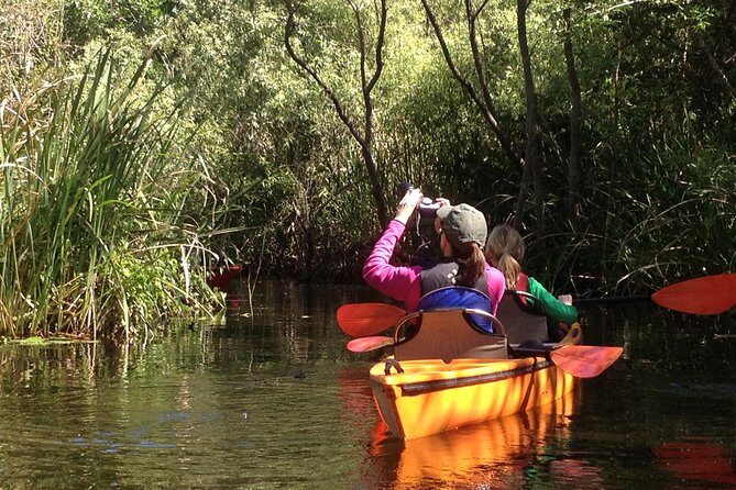 Everglades Kayak Safari Adventure Through Mangrove Tunnels - What You Can Expect During the Tour