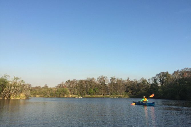 Everglades Kayak Safari Adventure Through Mangrove Tunnels - Who Will Enjoy This Tour?