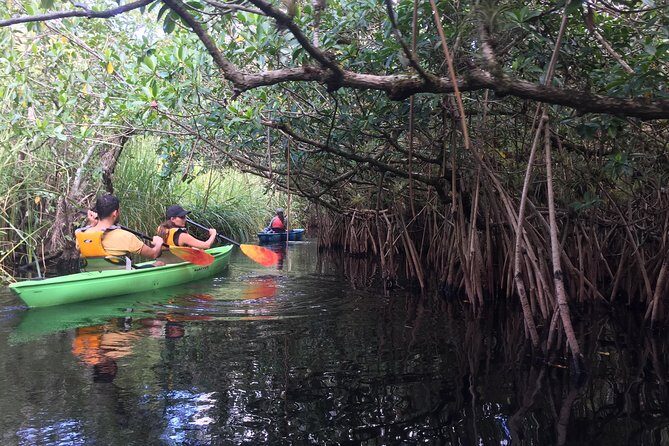 Everglades Kayak Safari Adventure Through Mangrove Tunnels - Summary and Final Thoughts