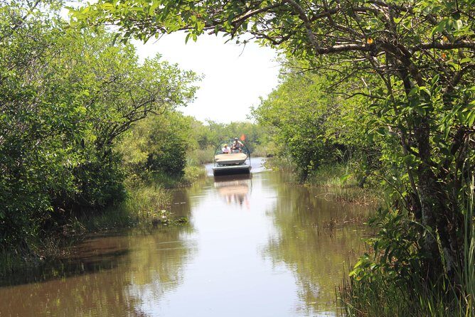 Everglades & Miami city tour with experienced guide in small group - FAQs About the Tour