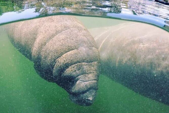 Everglades National Park: 3 Hikes + 90 minute Boat Tour + Lunch - Final Thoughts