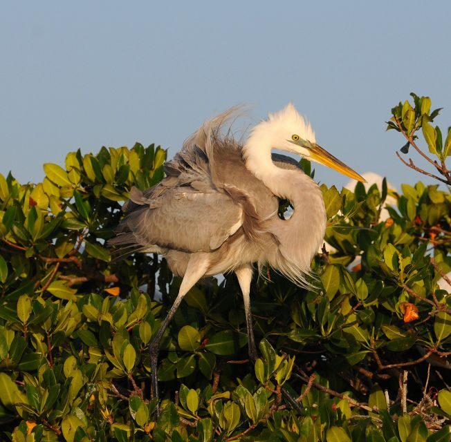 Everglades National Park 3-Hour Kayak Eco Tour - Price and Value