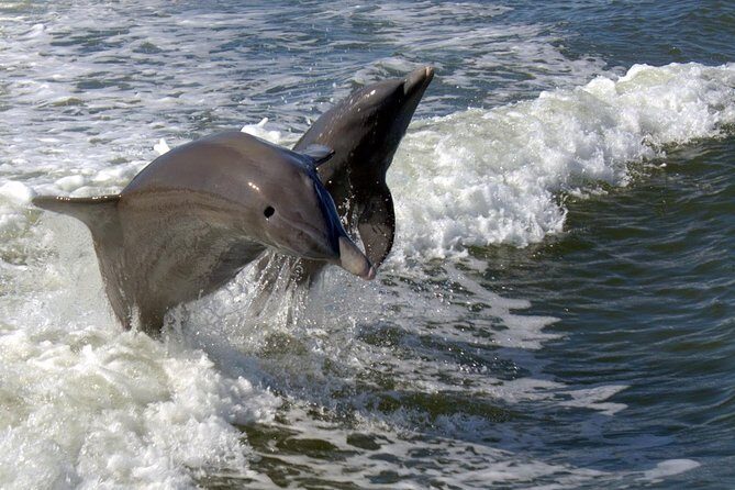 Everglades National Park Biologist Led Adventure: Cruise, Hike + Airboat - Analyzing the Experience: Whats the Real Value?