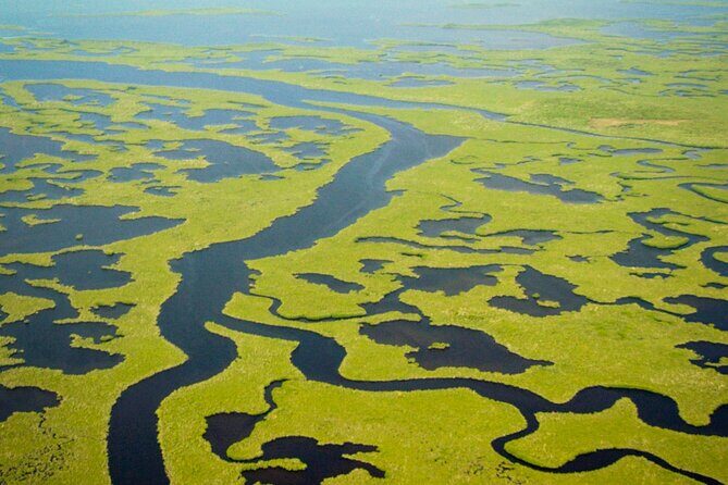 Everglades National Park Boat Tour - Practical Tips for Your Trip