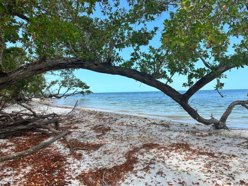 Everglades Pirate and Beach Adventure - In-Depth Look at the Everglades Pirate and Beach Adventure