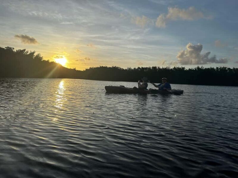 Everglades: Private Kayak Tour with Guide - What Makes This Tour Stand Out?