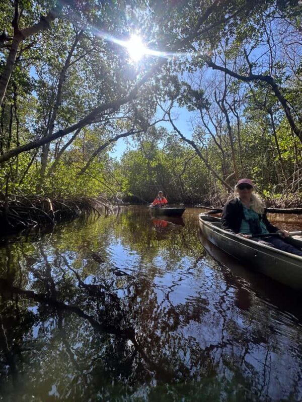 Everglades: Private Kayak Tour with Guide - Why It Works Well