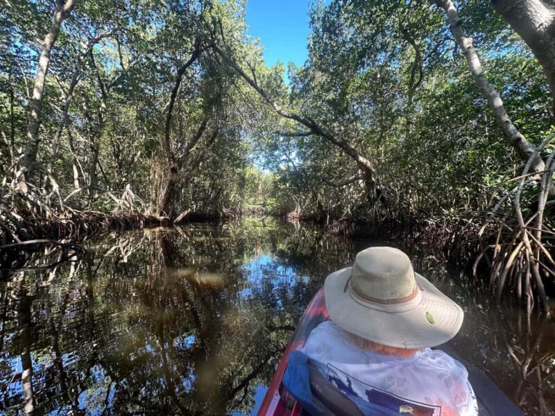 Everglades: Private Kayak Tour with Guide - Who Should Consider This Tour?