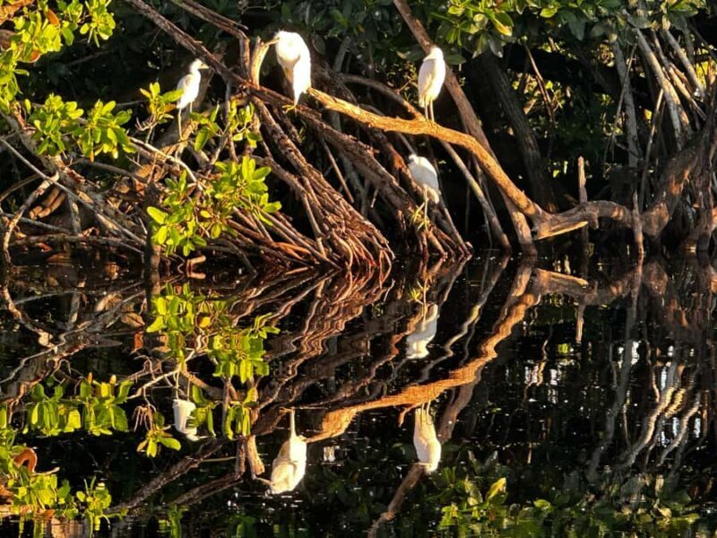 Everglades: Private Kayak Tour with Guide - Frequently Asked Questions