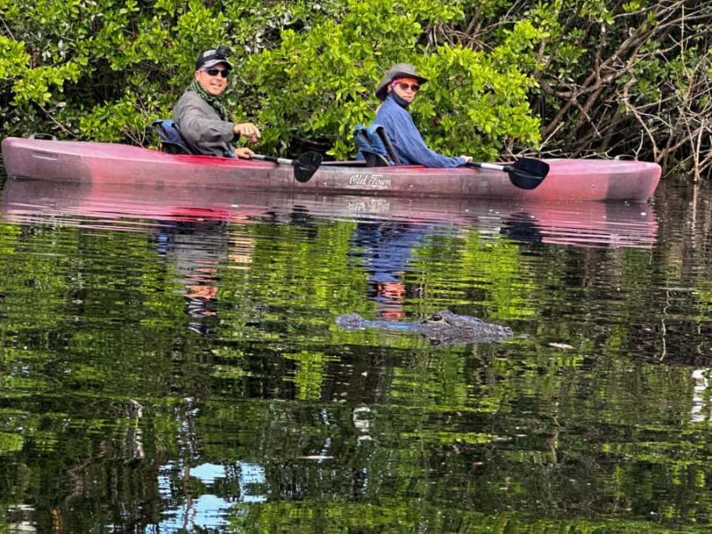 Everglades: Private Kayak Tour with Guide - Final Thoughts