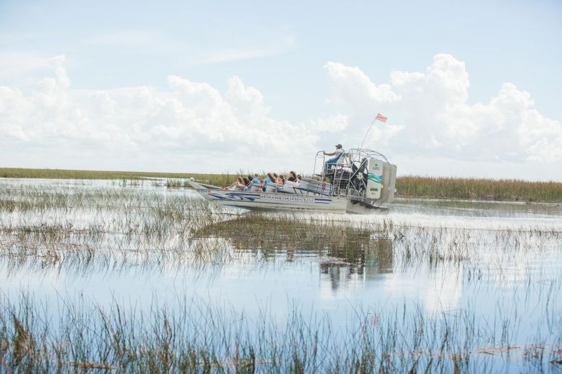 Everglades: Sawgrass Park Day Time Airboat Tour & Exhibits - What “touching a baby alligator” actually means for your day