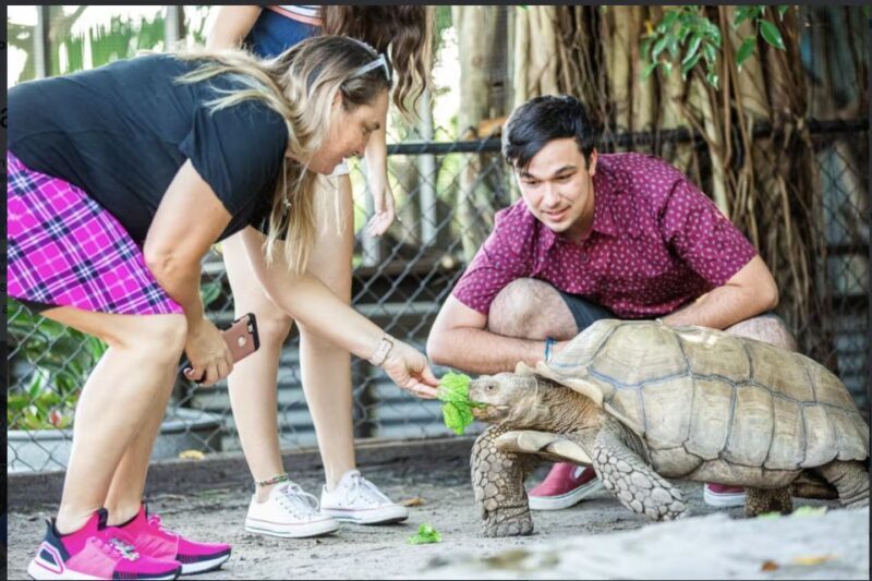 Everglades: Sawgrass Park Reptile Exhibit Private Tour - How Valuable Is the Experience?