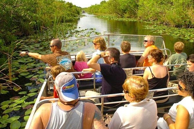 Everglades Tour in Miami - A Detailed Look at the Everglades Tour Experience