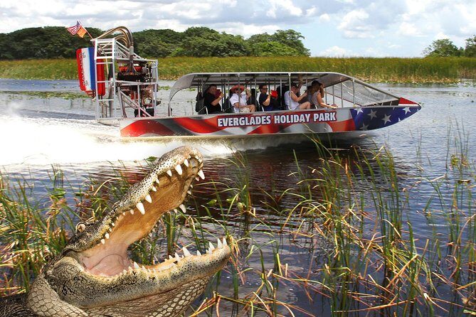Everglades VIP Airboat Tour with Transportation Included - Who Is This Tour Best For?