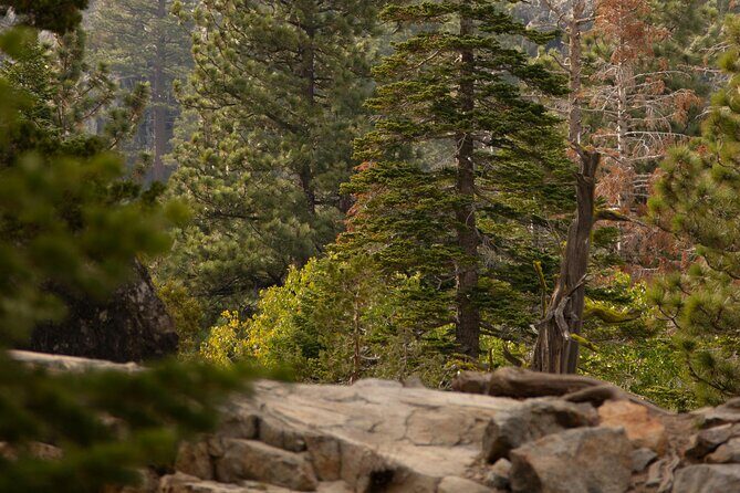 Everline Resort Explorer: Self Guided Olympic Valley Stroll - Key Points