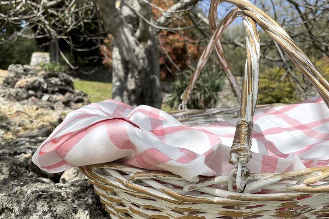 Evo Oil Experience with Oil Tasting and Lunch in the Nature - Who Will Appreciate This Tour?