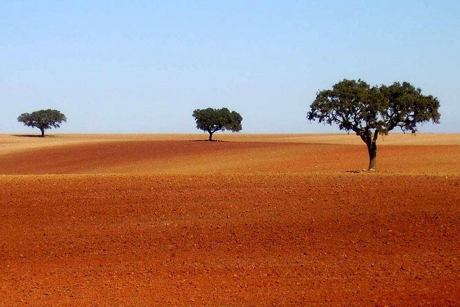 Évora & Alentejo: A Journey Through History and Flavors - Setting the Scene: The Tour Overview