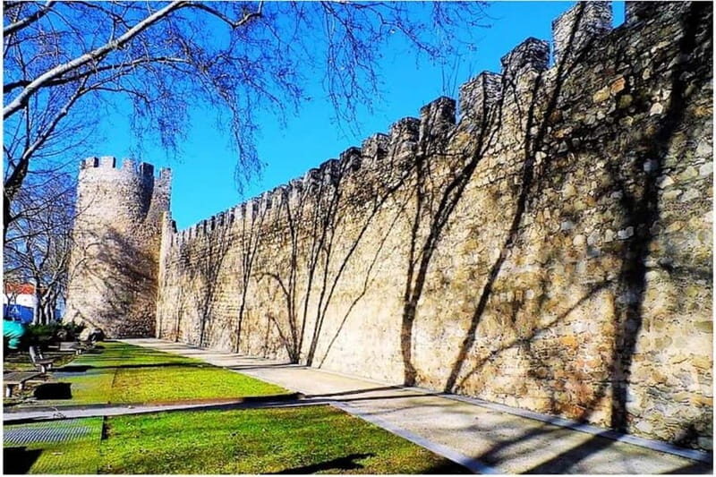 Evora Ancient City & The Alentejo Private Luxury Wine Tour - The Comfort and Convenience of Private Transportation