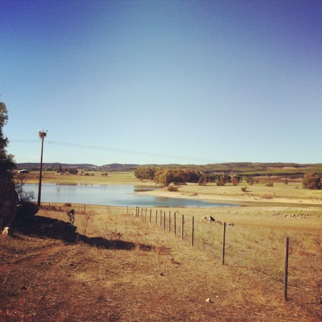 Évora and Megaliths Full-Day Tour from Lisbon - Local Culture and Industry: Cork and More