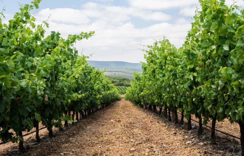 Evora: City Tour - 10h - FAQ about the Évora City Tour