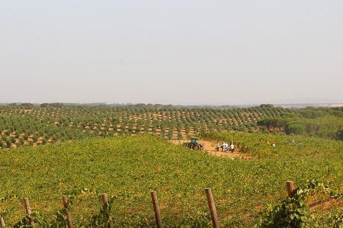 Evora City Tour, Museum City - Final Thoughts