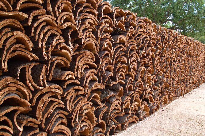 Évora Cork and Castle Tour - The Castle with the Best Views: Évora Monte