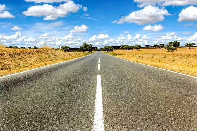 EVORA & MONSARAZ FULL-DAY PRIVATE TOUR with winery, cork & gourmet tavern - Who Will Love This Experience?