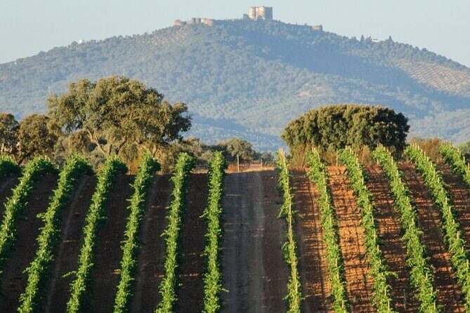 EVORA & MONSARAZ FULL-DAY PRIVATE TOUR with winery, cork & gourmet tavern - FAQ