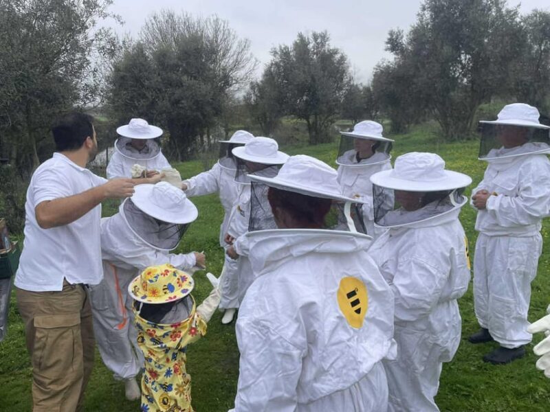 Évora or Montemor: Beekeeping, Chocolate factory, Wine tasting - Key Points