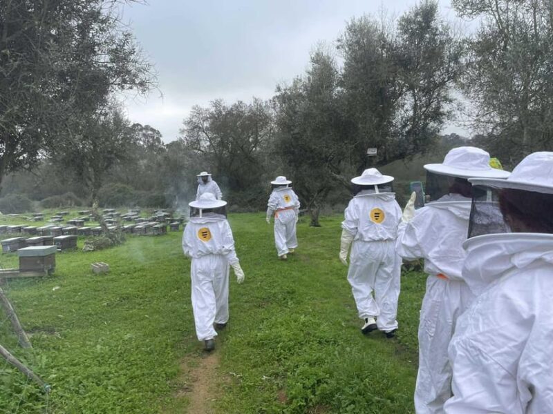 Évora or Montemor: Beekeeping, Chocolate factory, Wine tasting - The Practical Details