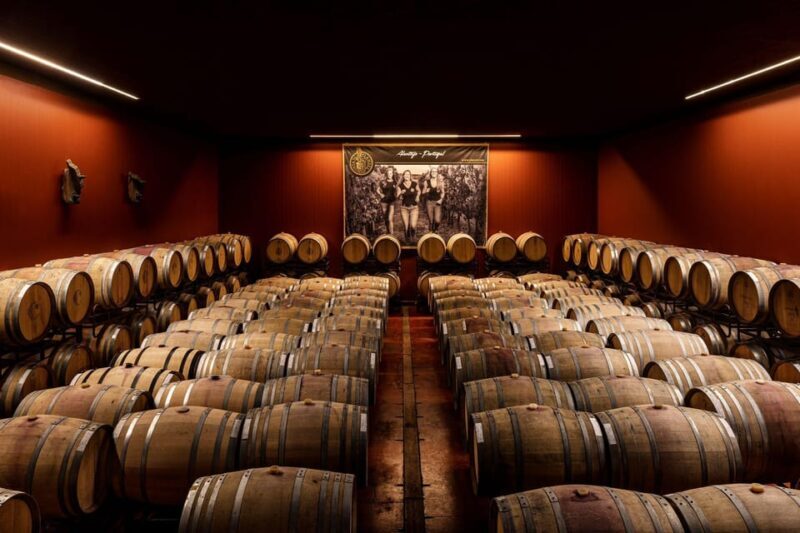 Évora or Montemor: Beekeeping, Chocolate factory, Wine tasting - Who This Tour Is Best For