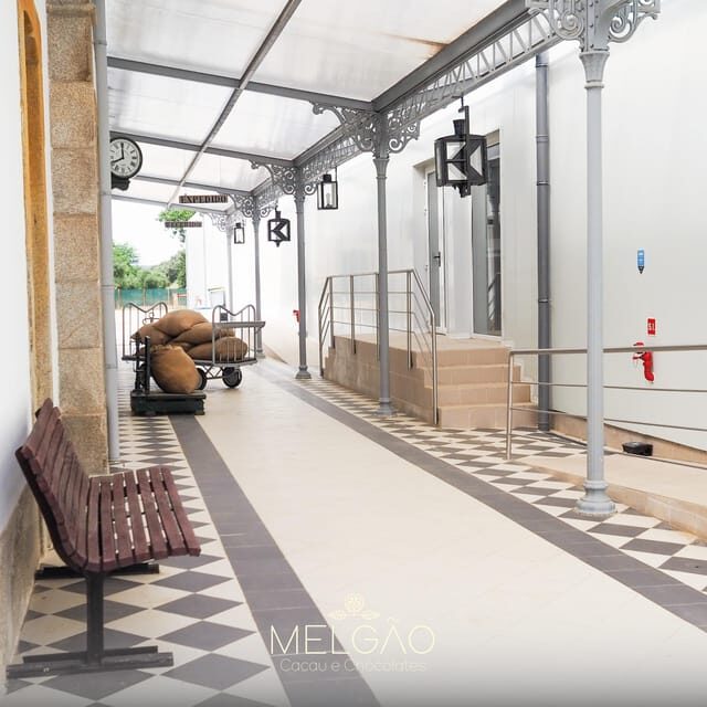 Évora or Montemor: Beekeeping, Chocolate factory, Wine tasting - FAQ