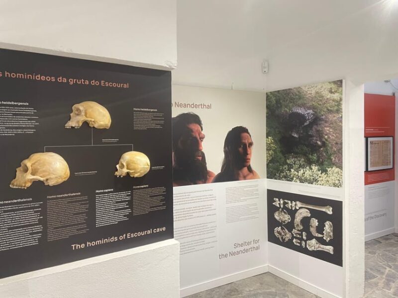 Évora or Montemor: Guided Tour of the Escoural Caves - What to Expect from the Escoural Caves Guided Tour