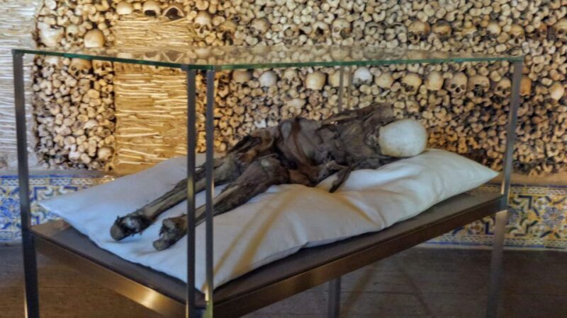 Évora Private Walking Tour - What You Can Expect from This Tour