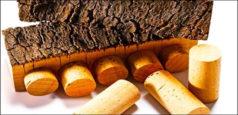 Évora town and the Olive Oil, Wine, and Cork Triangle - Tasting the Treasures: Olive Oil and Wine