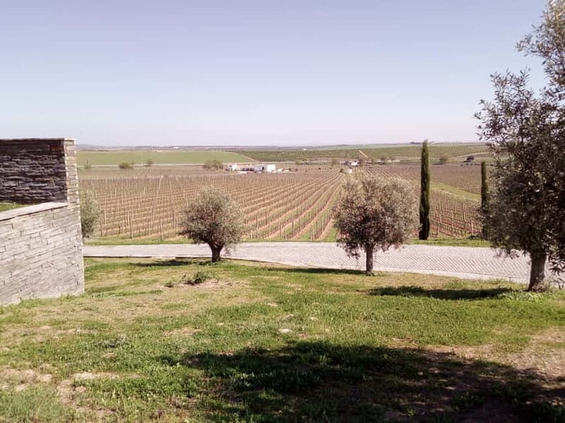 Évora town and the Olive Oil, Wine, and Cork Triangle - FAQ