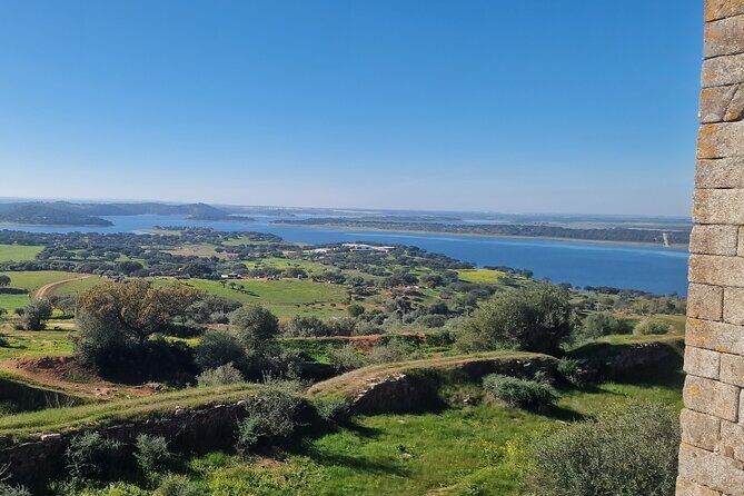 Evora Wine & Cork Experience - Wine Tastings and Gastronomic Surprises