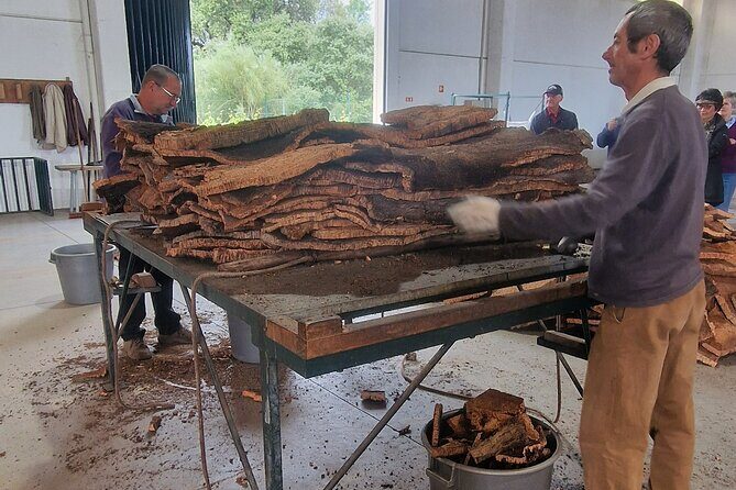 Evora Wine & Cork Experience - What Makes This Tour Stand Out?