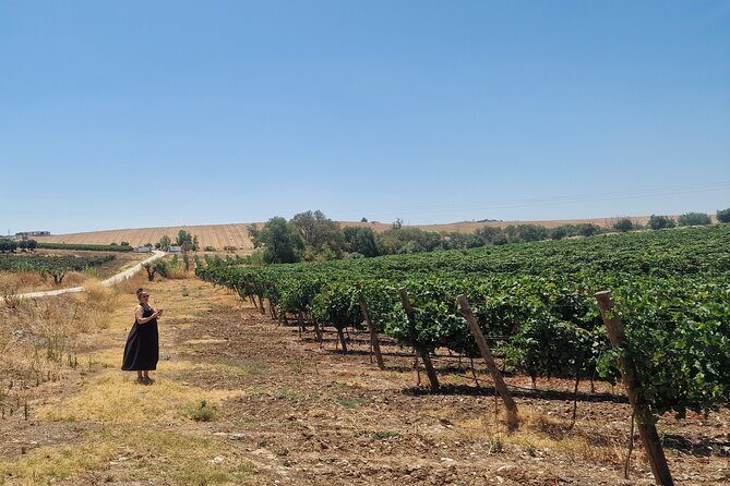 Evora Wine & Cork Experience - Are There Any Downsides?