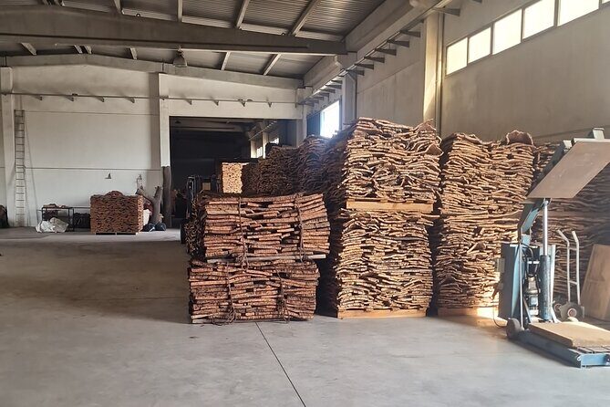 Evora Wine & Cork Experience - Who Will Love This Experience?