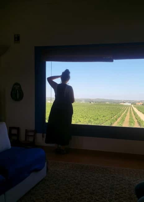 Évora & Wines: A Taste of Authentic Alentejo - The Journey Begins: Pickup & Approach