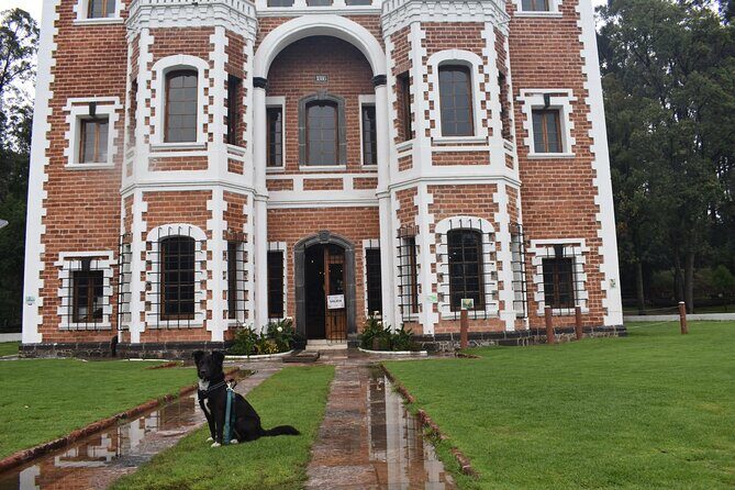 Ex hacienda, rancho de lavanda y Val'Quirico (private tour) - What’s Included and What to Consider