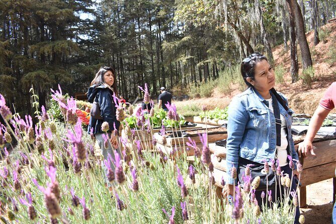 Ex hacienda, rancho de lavanda y Val'Quirico (private tour) - Final Thoughts